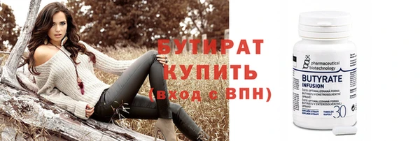 шишки Ельня