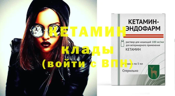 шишки Ельня