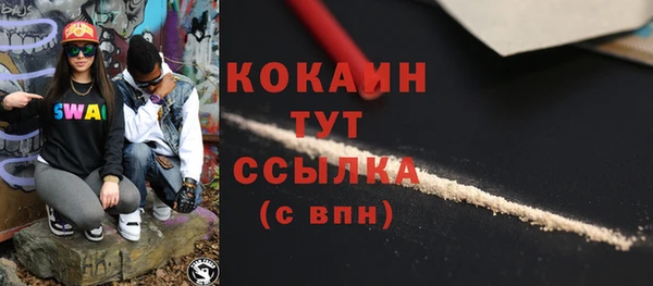 шишки Ельня