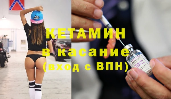 шишки Ельня