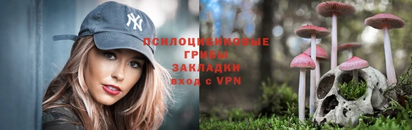 шишки Ельня