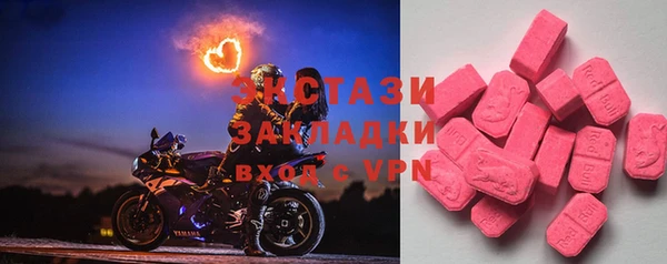 шишки Ельня