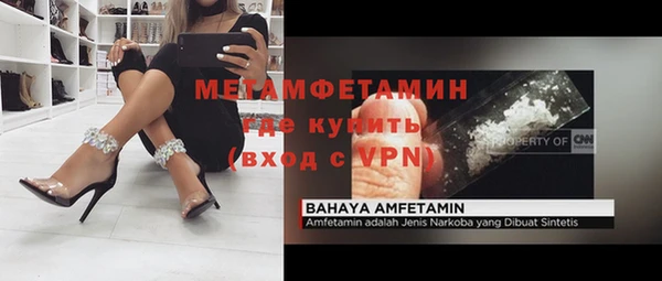 шишки Ельня