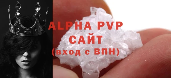 шишки Ельня