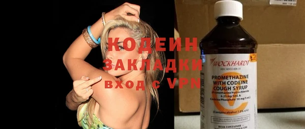 дживик Елабуга