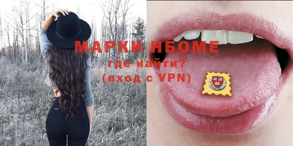 шишки Ельня