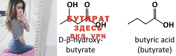 шишки Ельня