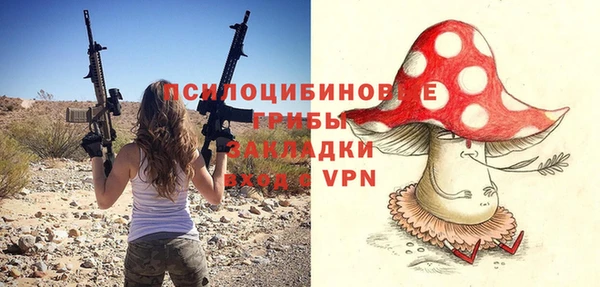скорость Елизово