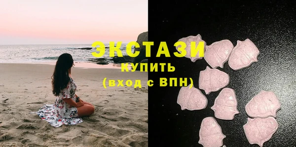 шишки Ельня