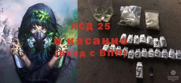 шишки Ельня