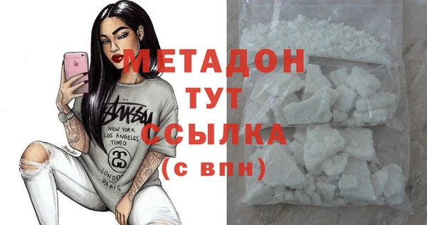 шишки Ельня