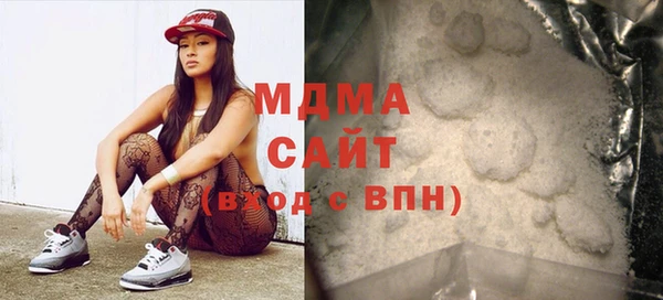 шишки Ельня