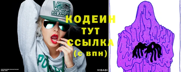 скорость Елизово