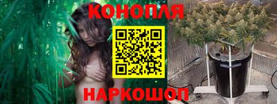 крисы Ипатово