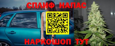 крисы Ипатово