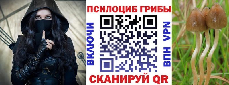 Псилоцибиновые грибы мухоморы  kraken вход  Кимовск 