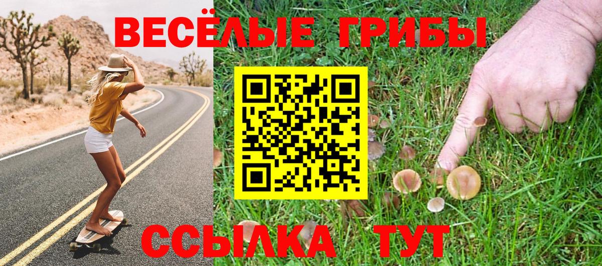 Галлюциногенные грибы мухоморы Кимовск