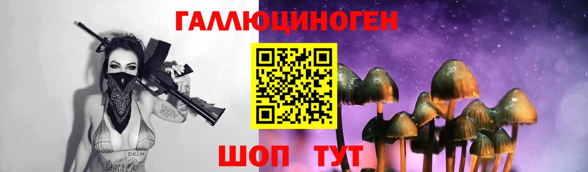 Галлюциногенные грибы мицелий  Вход с VPN  Кимовск  Галлюциногенные грибы Magic Shrooms 