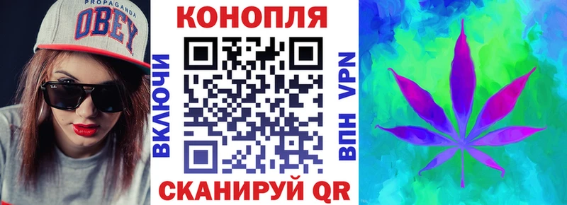 Бошки марихуана индика  закладка  Кимовск 